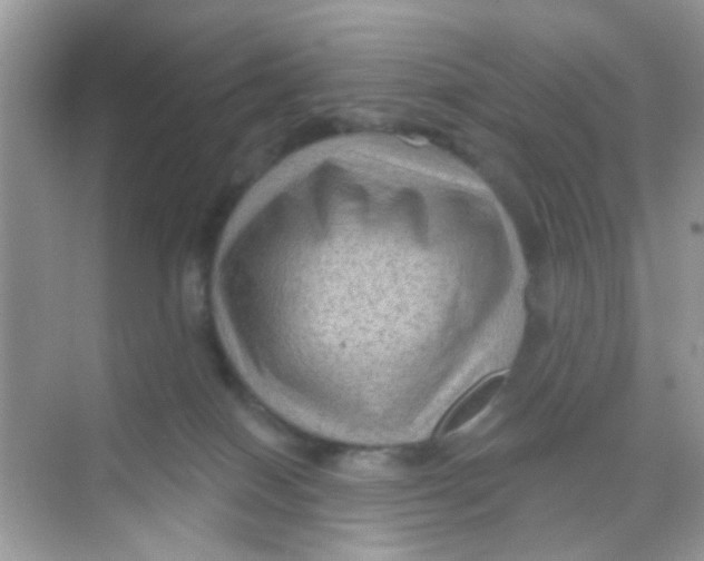 X0000068270086200605121857