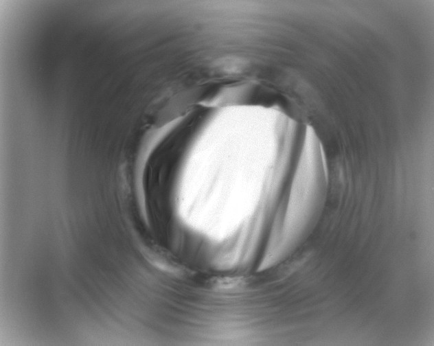 X0000068270088200605121857