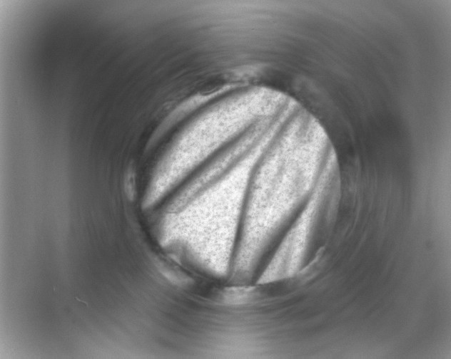 X0000068270090200605121857