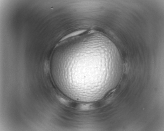 X0000068270093200605121857