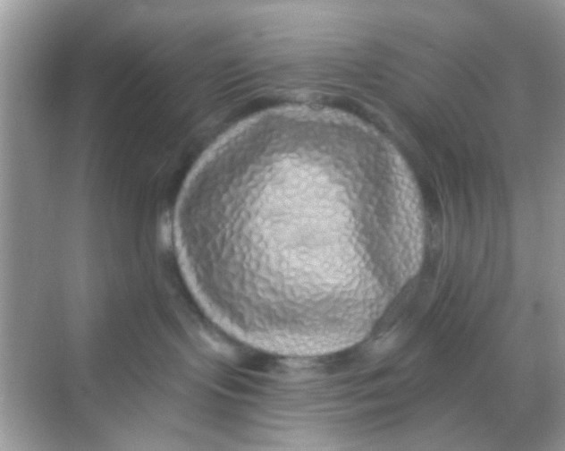 X0000068270095200605121857