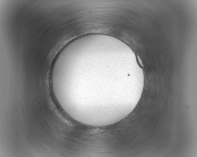 X0000068270098200605121856