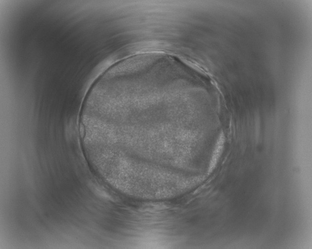 X0000068270099200605121856