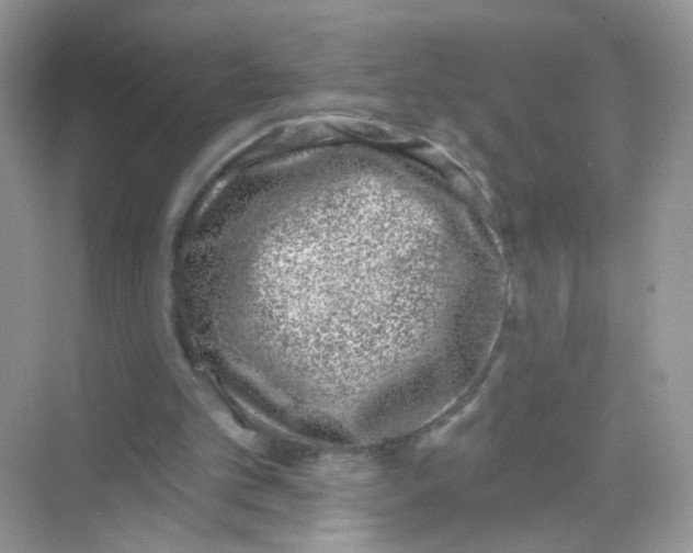 X0000068270101200605121856