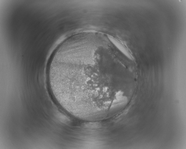 X0000068270102200605121856