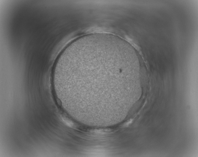 X0000068270103200605121856