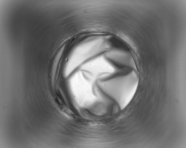 X0000068270105200605121856