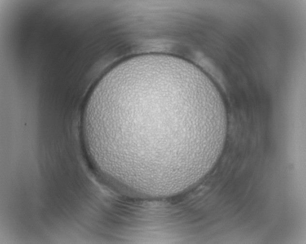 X0000068270107200605121856