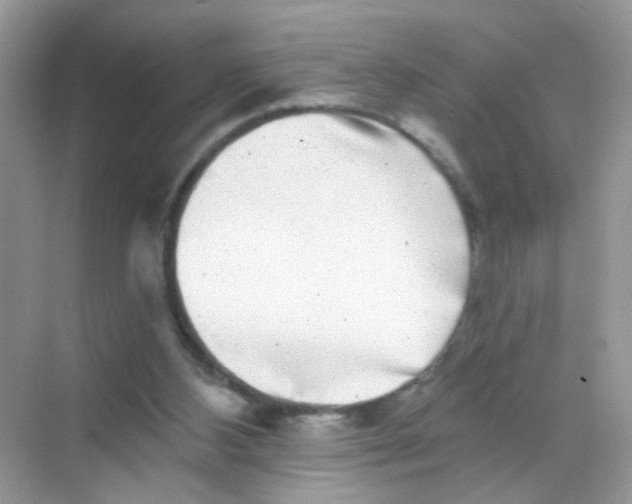 X0000068270108200605121856