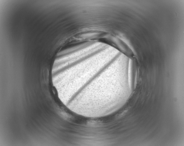 X0000068270109200605121856