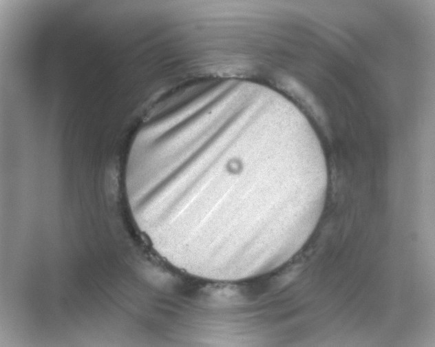 X0000068270113200605121856