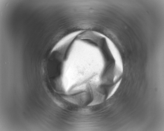 X0000068270114200605121856