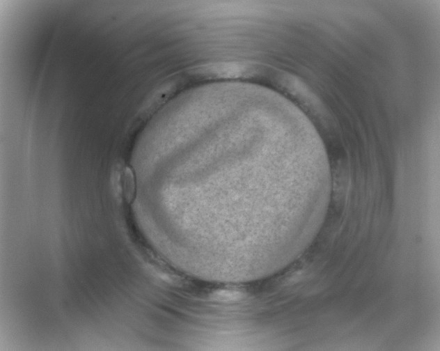 X0000068270119200605121856