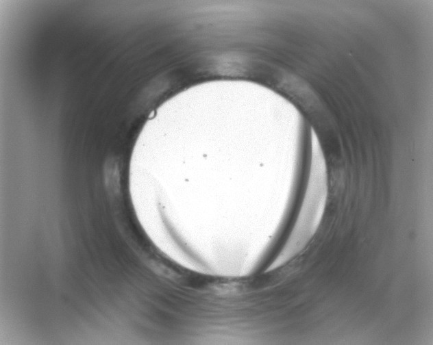 X0000068270120200605121856