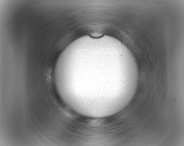 X0000068270122200605121856