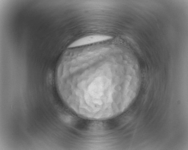 X0000068270123200605121856