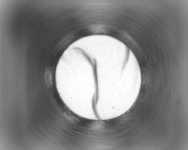 X0000068270124200605121856