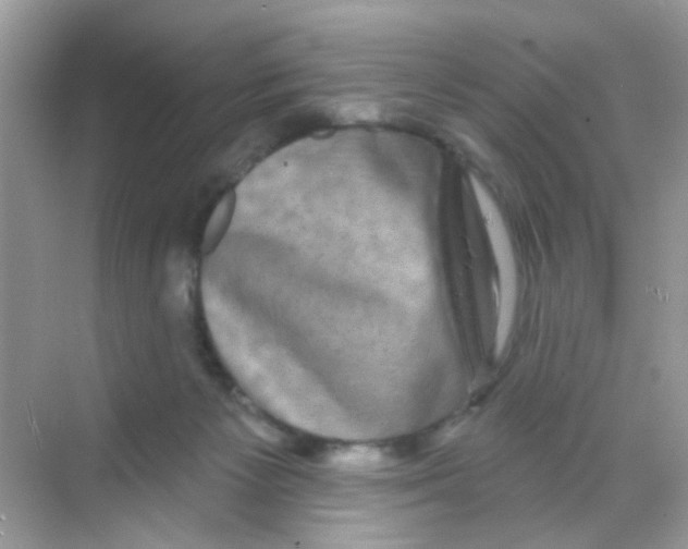 X0000068270125200605121856