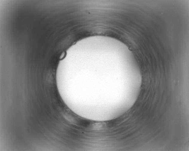 X0000068270126200605121856