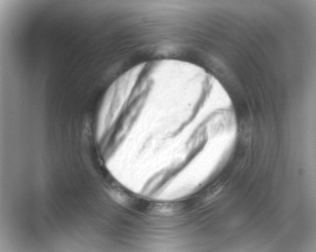 X0000068270127200605121856