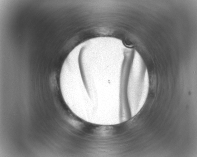 X0000068270128200605121856