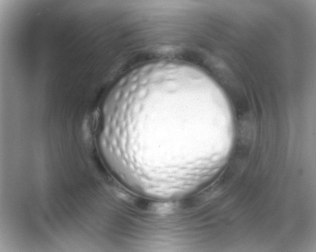 X0000068270131200605121856