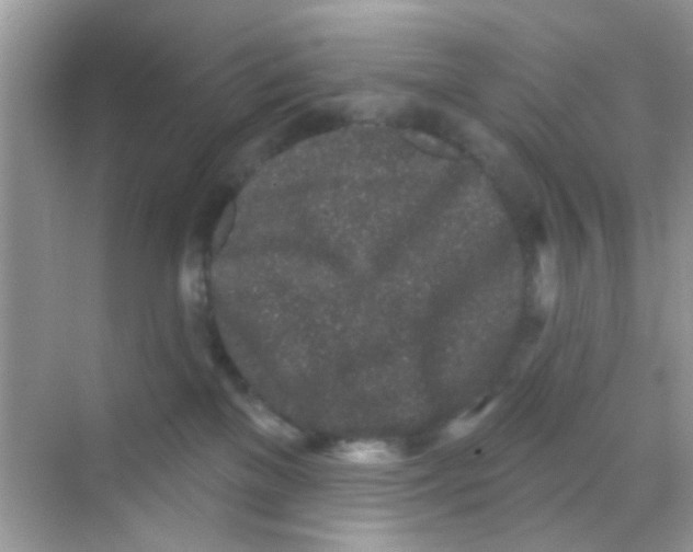 X0000068270137200605121856