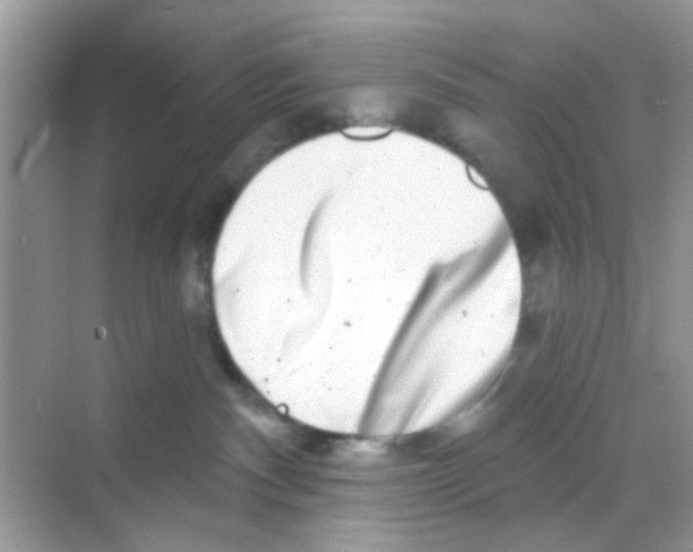 X0000068270140200605121856