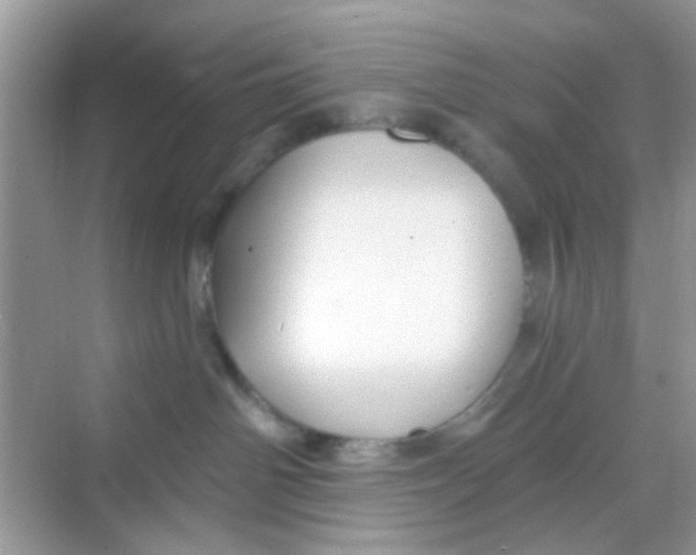 X0000068270142200605121856