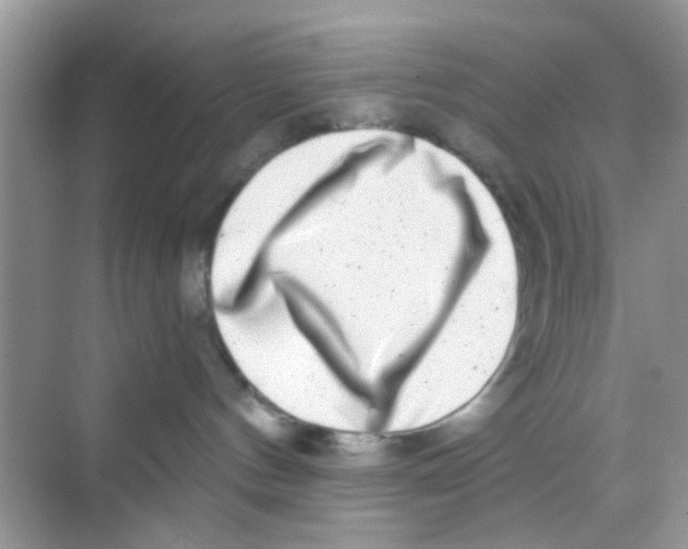 X0000068270144200605121856