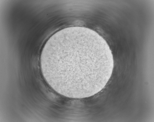 X0000068270146200605121855