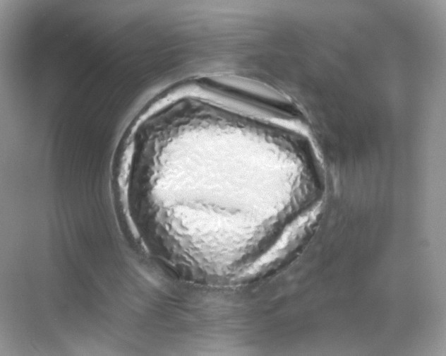 X0000068270147200605121855