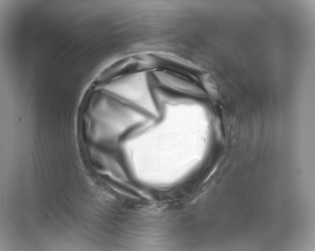 X0000068270148200605121855