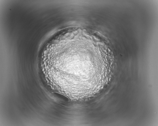 X0000068270149200605121855