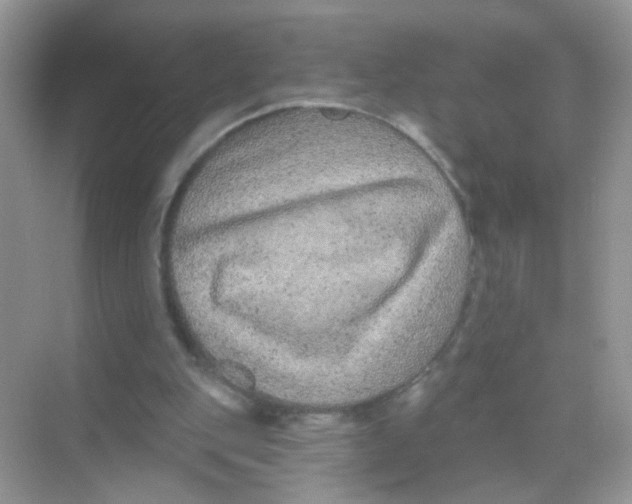 X0000068270151200605121855