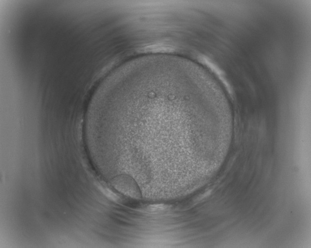 X0000068270153200605121855