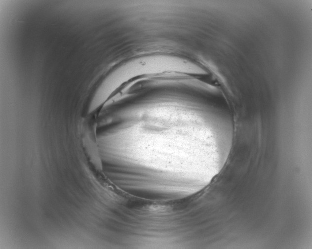 X0000068270154200605121855