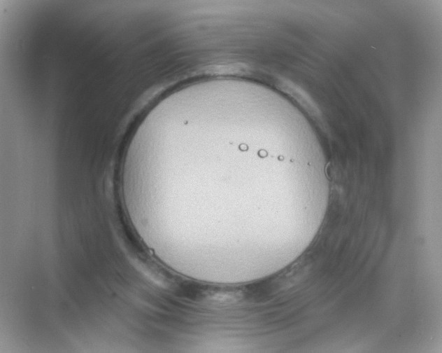 X0000068270155200605121855