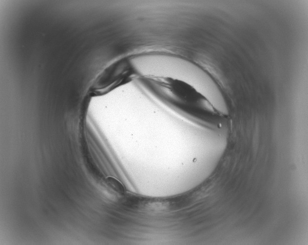 X0000068270156200605121855