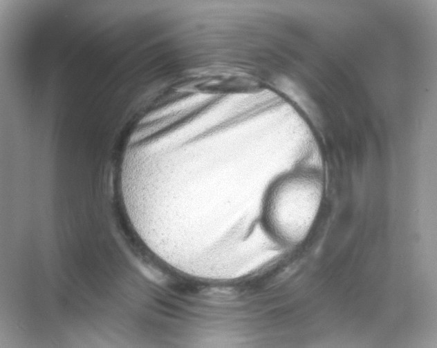 X0000068270157200605121855