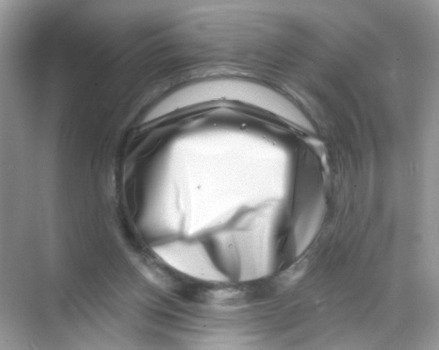 X0000068270158200605121855