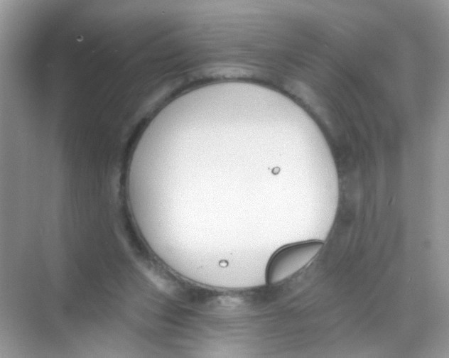 X0000068270159200605121855