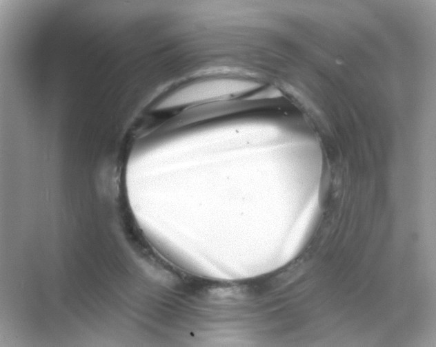 X0000068270160200605121855