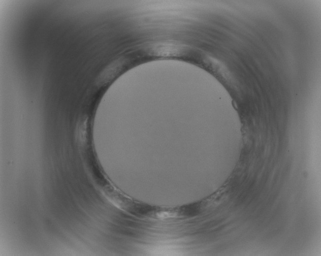 X0000068270163200605121855