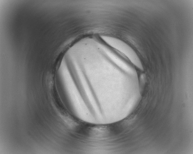 X0000068270164200605121855