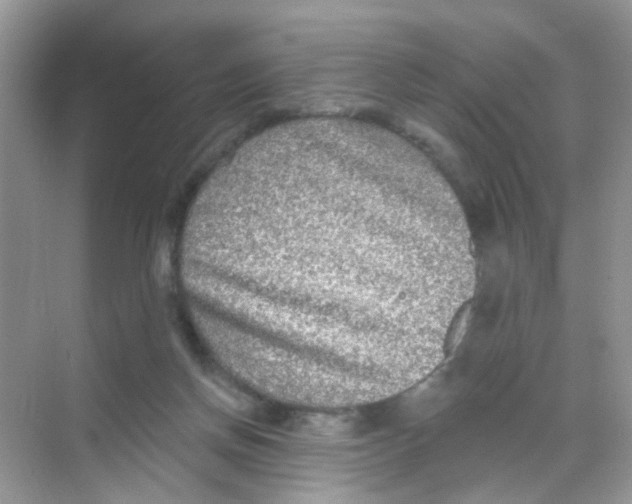 X0000068270166200605121855