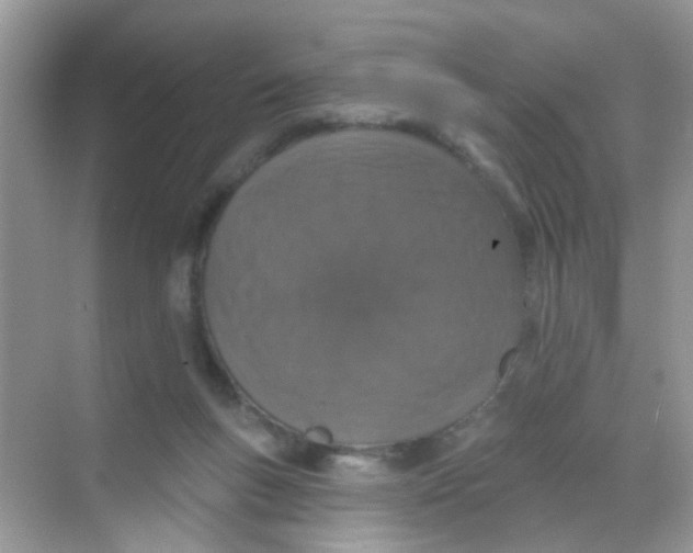 X0000068270167200605121855