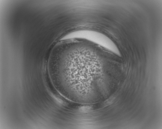 X0000068270168200605121855