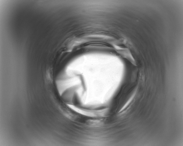 X0000068270170200605121855