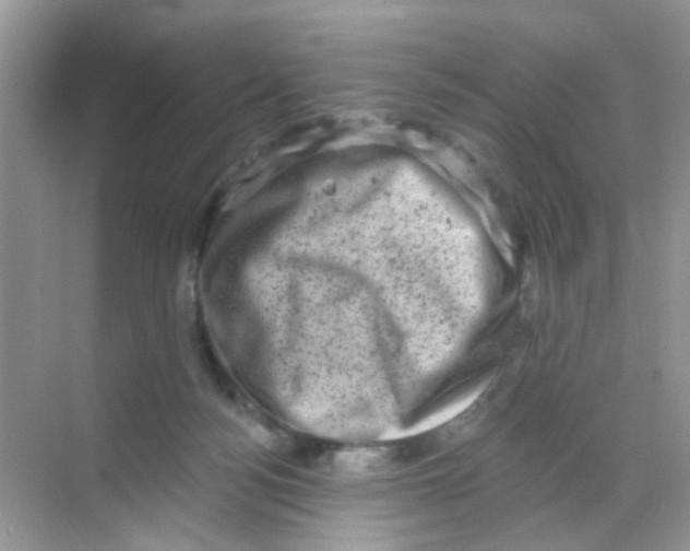 X0000068270172200605121855